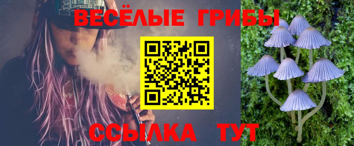 Псилоцибиновые грибы Psilocybe  Вход с VPN  Богородицк  Псилоцибиновые грибы Magic Shrooms 