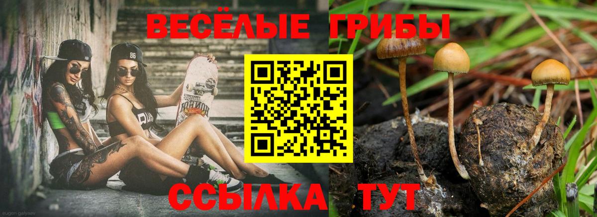Псилоцибиновые грибы ЛСД Богородицк